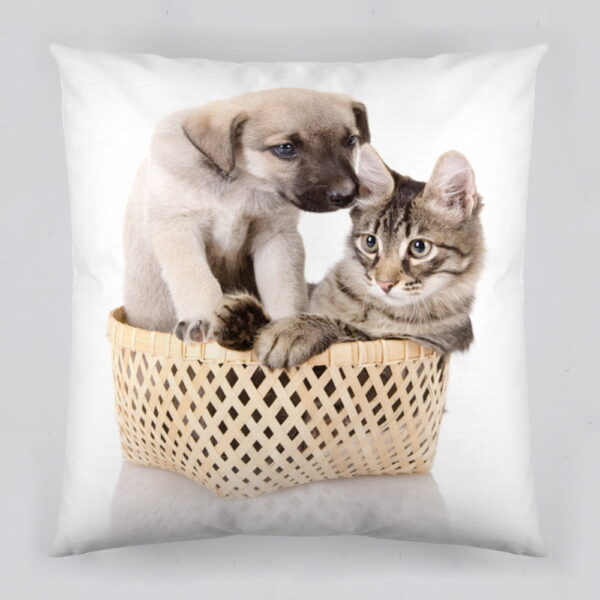 Jastuk Mollis dog & cat